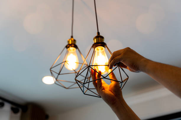 Best Ceiling Fan Installation Electrician  in Punta Rassa, FL